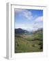 Ladies View, Ring of Kerry, Killarney, County Kerry, Munster, Eire (Republic of Ireland)-Roy Rainford-Framed Photographic Print