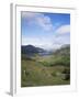 Ladies View, Ring of Kerry, Killarney, County Kerry, Munster, Eire (Republic of Ireland)-Roy Rainford-Framed Photographic Print