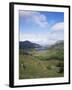 Ladies View, Ring of Kerry, Killarney, County Kerry, Munster, Eire (Republic of Ireland)-Roy Rainford-Framed Photographic Print