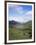 Ladies View, Ring of Kerry, Killarney, County Kerry, Munster, Eire (Republic of Ireland)-Roy Rainford-Framed Photographic Print