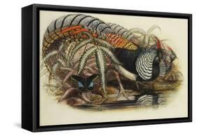 Lady Amherst's Pheasant-Henry Constantine Richter-Framed Stretched Canvas