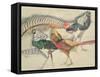 Lady Amherst's Pheasant-Theo van Rysselberghe-Framed Stretched Canvas