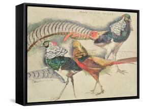 Lady Amherst's Pheasant-Theo van Rysselberghe-Framed Stretched Canvas