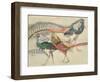 Lady Amherst's Pheasant-Theo van Rysselberghe-Framed Giclee Print