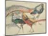 Lady Amherst's Pheasant-Theo van Rysselberghe-Mounted Giclee Print