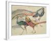 Lady Amherst's Pheasant-Theo van Rysselberghe-Framed Giclee Print