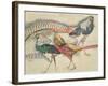 Lady Amherst's Pheasant-Theo van Rysselberghe-Framed Giclee Print