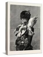 Lady and Pigeons, Fashion, 1882-null-Stretched Canvas