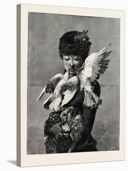 Lady and Pigeons, Fashion, 1882-null-Stretched Canvas