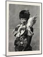 Lady and Pigeons, Fashion, 1882-null-Mounted Giclee Print
