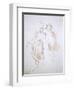 Lady and Warrior-Giambattista Tiepolo-Framed Giclee Print