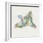 White Frame