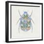 Black Frame