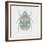 Brown Frame