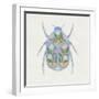 White Frame