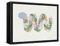 Framed Canvas