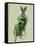 Lady Bella Rabbit Taking Tea-Fab Funky-Framed Stretched Canvas