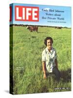 Lady Bird Johnson, August 13, 1965-Stan Wayman-Stretched Canvas