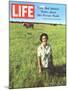 Lady Bird Johnson, August 13, 1965-Stan Wayman-Mounted Photographic Print