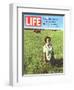 Lady Bird Johnson, August 13, 1965-Stan Wayman-Framed Photographic Print