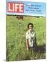 Lady Bird Johnson, August 13, 1965-Stan Wayman-Mounted Photographic Print