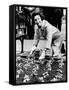 Lady Bird Johnson Planting Pansies on the Famed Capitol Mall-null-Framed Stretched Canvas