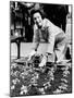 Lady Bird Johnson Planting Pansies on the Famed Capitol Mall-null-Mounted Photo