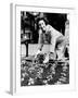 Lady Bird Johnson Planting Pansies on the Famed Capitol Mall-null-Framed Photo