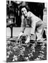 Lady Bird Johnson Planting Pansies on the Famed Capitol Mall-null-Mounted Photo