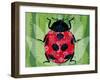 Lady Bug-Teofilo Olivieri-Framed Giclee Print