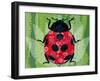 Lady Bug-Teofilo Olivieri-Framed Giclee Print