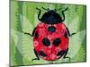 Lady Bug-Teofilo Olivieri-Mounted Giclee Print