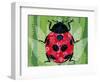 Lady Bug-Teofilo Olivieri-Framed Giclee Print