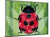 Lady Bug-Teofilo Olivieri-Mounted Giclee Print