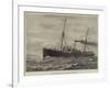 Lady Burdett-Coutts' Yacht Walrus-null-Framed Giclee Print