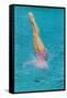 Lady Diving into Pool, Retro-null-Framed Stretched Canvas