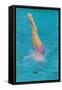 Lady Diving into Pool, Retro-null-Framed Stretched Canvas