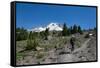 Lady hiker walking on a trail on Mount Hood, part of the Cascade Range, Pacific Northwest region, O-Martin Child-Framed Stretched Canvas