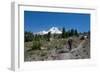 Lady hiker walking on a trail on Mount Hood, part of the Cascade Range, Pacific Northwest region, O-Martin Child-Framed Photographic Print