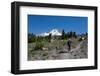 Lady hiker walking on a trail on Mount Hood, part of the Cascade Range, Pacific Northwest region, O-Martin Child-Framed Photographic Print