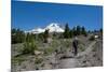 Lady hiker walking on a trail on Mount Hood, part of the Cascade Range, Pacific Northwest region, O-Martin Child-Mounted Photographic Print