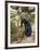 Lady in a Garden-Victor Gabriel Gilbert-Framed Giclee Print