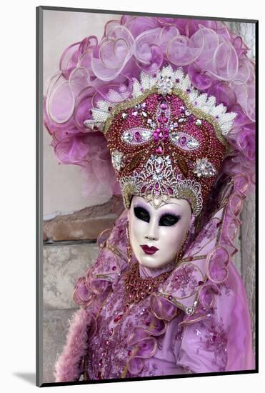 Lady in a Pink Dress and Bejewelled Hat, Venice Carnival, Venice, Veneto, Italy, Europe-James Emmerson-Mounted Photographic Print