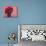 Lady in a Pink Headtie, 1995-Boscoe Holder-Mounted Photographic Print displayed on a wall