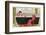 Lady in Bath with Cat-null-Framed Photographic Print