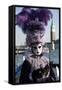 Lady in Black and Purple Mask and Feathered Hat, Venice Carnival, Venice, Veneto, Italy-James Emmerson-Framed Stretched Canvas