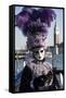 Lady in Black and Purple Mask and Feathered Hat, Venice Carnival, Venice, Veneto, Italy-James Emmerson-Framed Stretched Canvas