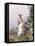 Lady in Flower Garden-Childe Hassam-Framed Stretched Canvas