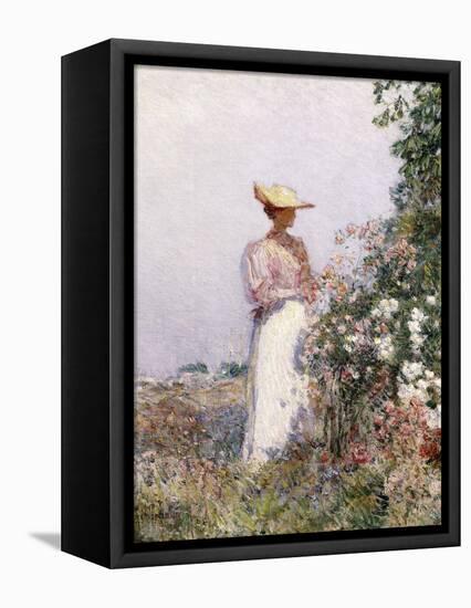 Lady in Flower Garden-Frederick Childe Hassam-Framed Stretched Canvas