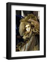 Lady in Gold, Venice Carnival, Venice, Veneto, Italy, Europe-James Emmerson-Framed Photographic Print